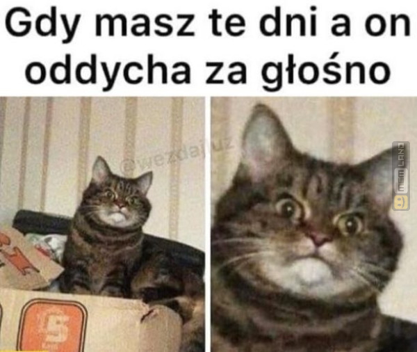 Śmieszny mem: 2383206 - MemLand