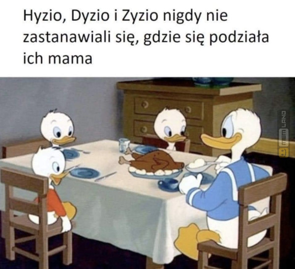 Śmieszny mem: 2386249 - MemLand