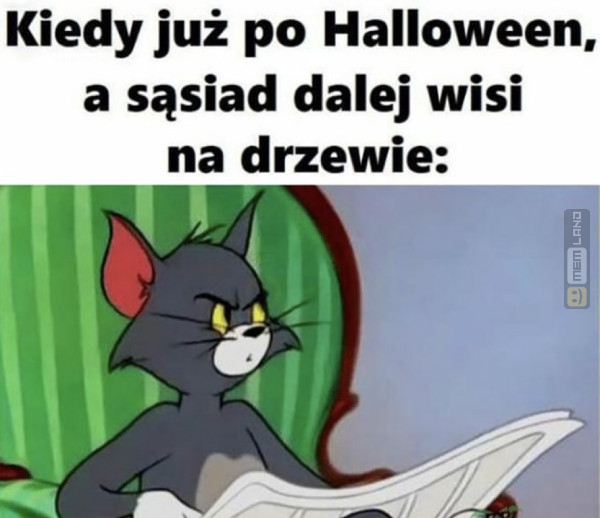 Śmieszny mem: 2386438 - MemLand