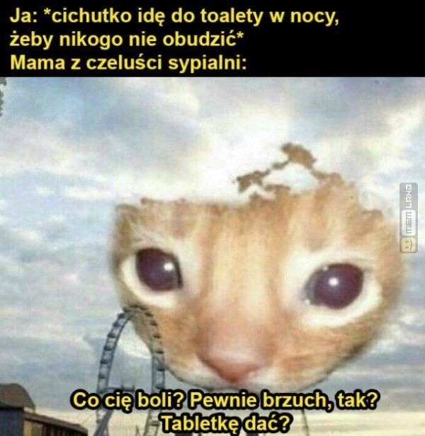 Śmieszny mem: 2396757 - MemLand