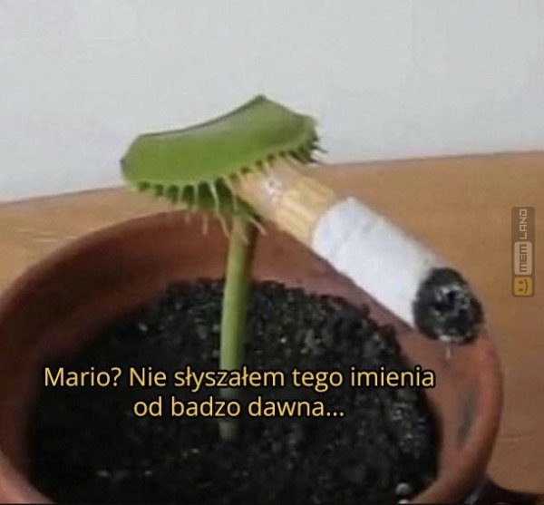Śmieszny mem: 2399940 - MemLand
