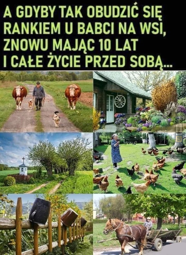 Śmieszny mem: 2408267 - MemLand