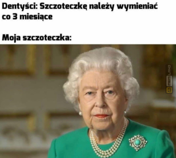 Śmieszny mem: 2409291 - MemLand