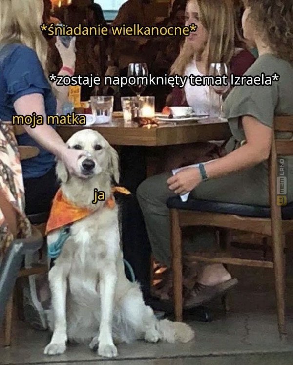 Śmieszny mem: 2411117 - MemLand