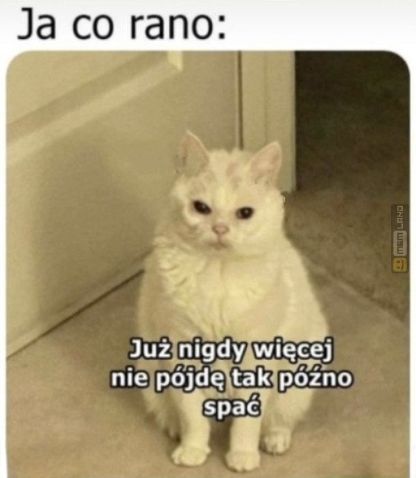 Śmieszny mem: 2413074 - MemLand