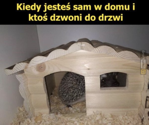 Śmieszny mem: 2414069 - MemLand