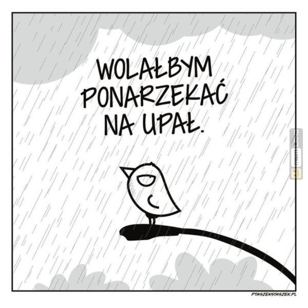 Śmieszny mem: 2415316 - MemLand