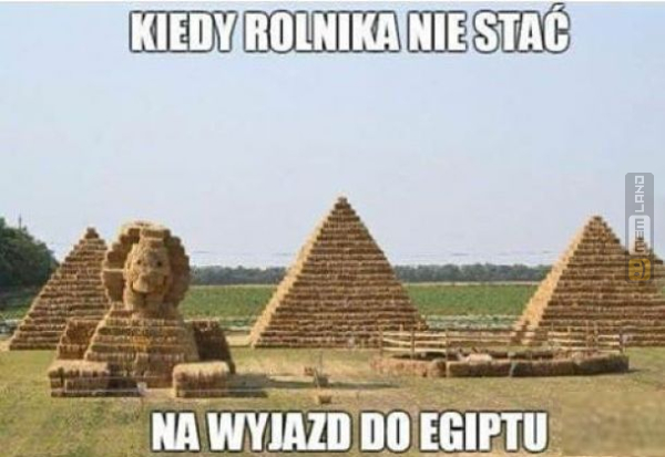 Śmieszny mem: 2417942 - MemLand