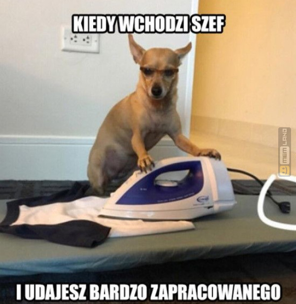 Śmieszny mem: 2418689 - MemLand