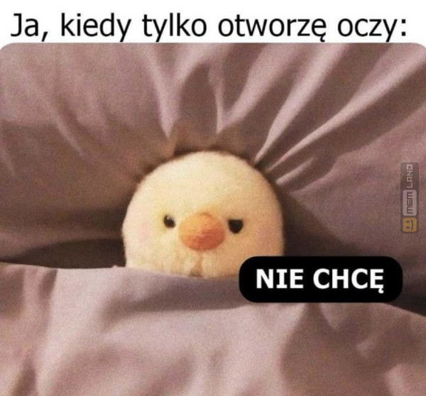 Śmieszny mem: 2422981 - MemLand