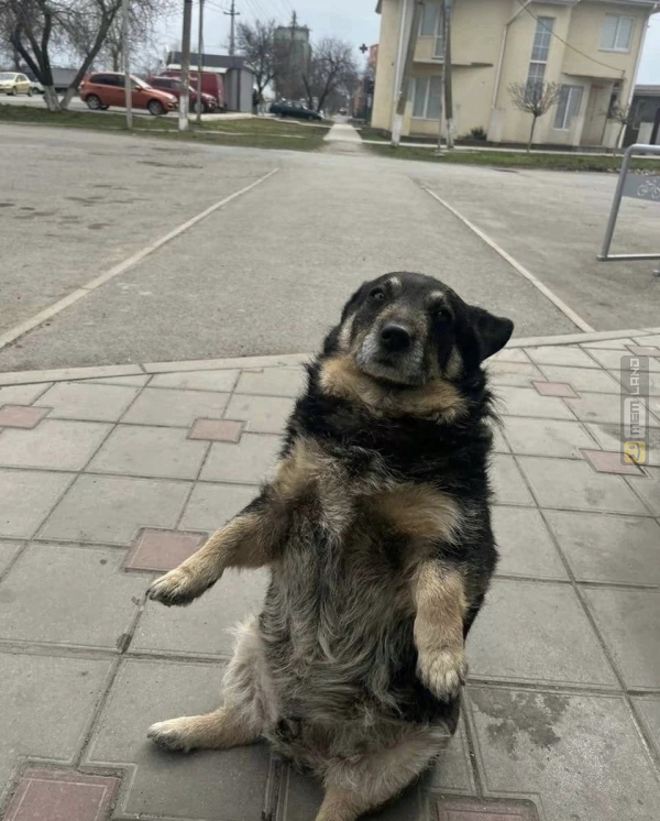 Śmieszny mem: 2426478 - MemLand