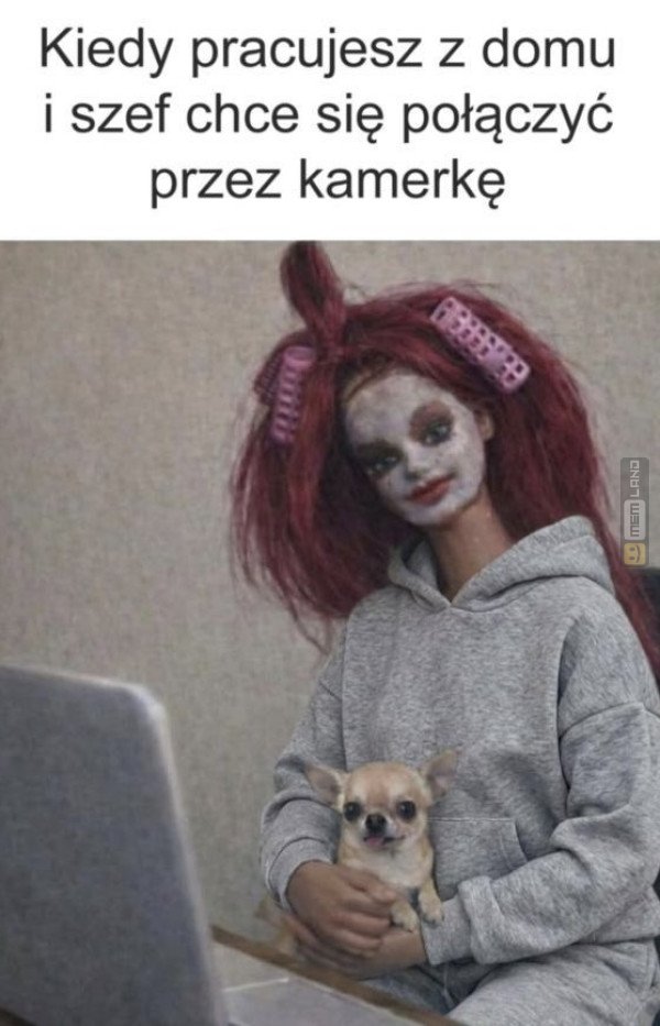 Śmieszny mem: 2443792 - MemLand