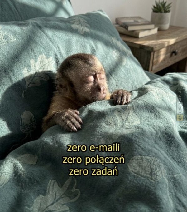 Śmieszny mem: 2454451 - MemLand