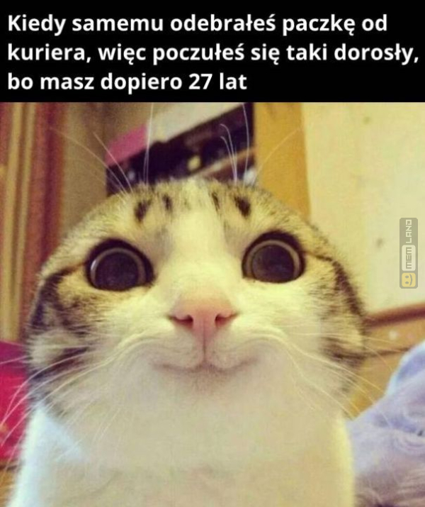 Śmieszny mem: 2455934 - MemLand
