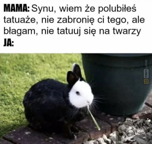 Śmieszny mem: 2458029 - MemLand