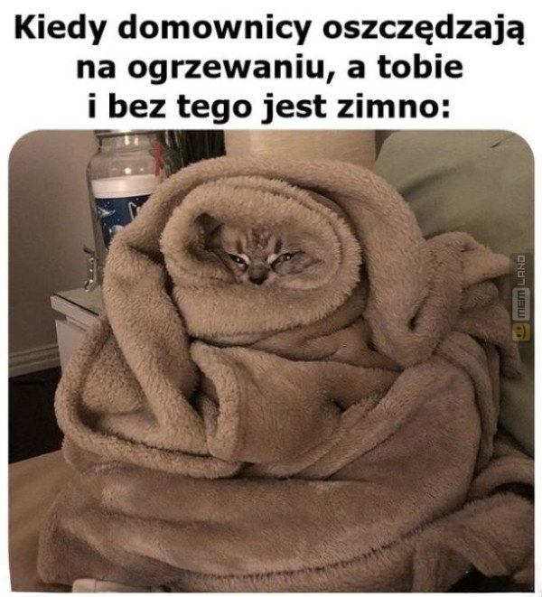 Śmieszny mem: 2461587 - MemLand