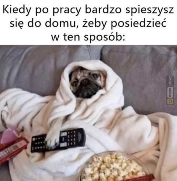 Śmieszny mem: 2467753 - MemLand