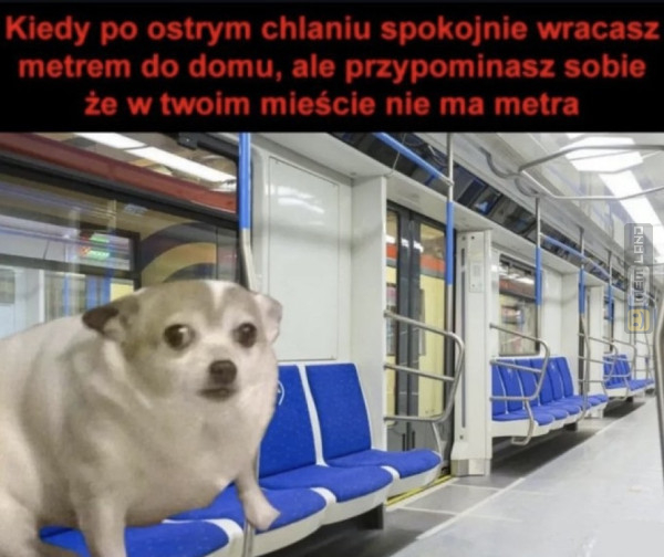 Śmieszny mem: 2476782 - MemLand