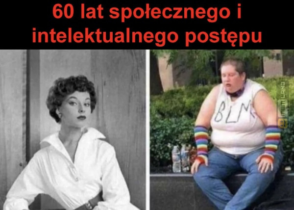 Śmieszny mem: 2481973 - MemLand