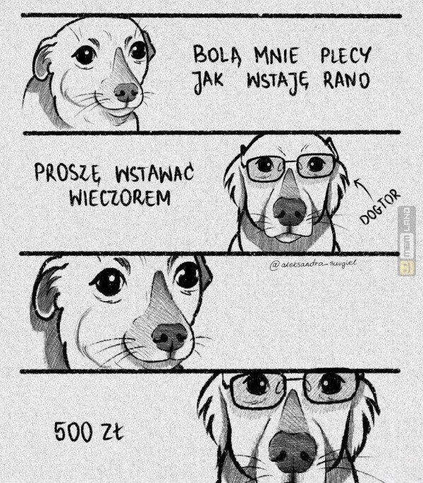 Śmieszny mem: 2493235 - MemLand