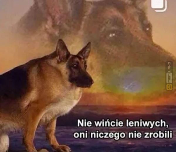 Śmieszny mem: 2495449 - MemLand