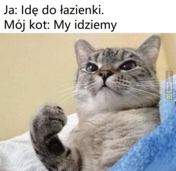 Śmieszny mem: 2500962 - MemLand