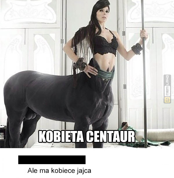 Śmieszny mem: 2502982 - MemLand