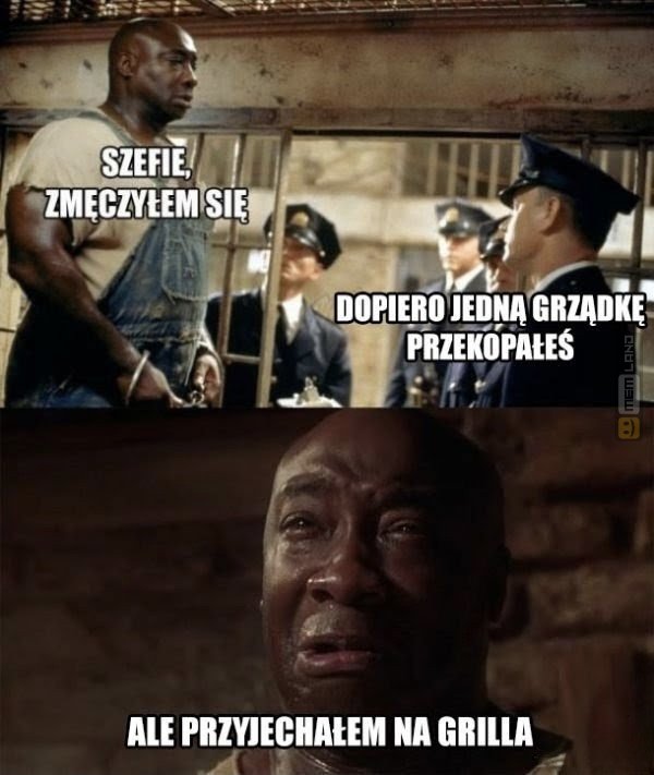 Śmieszny mem: 2504682 - MemLand