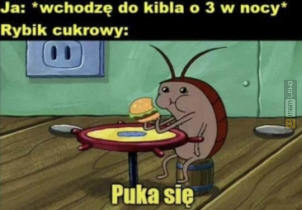 Śmieszny mem: 2504883 - MemLand