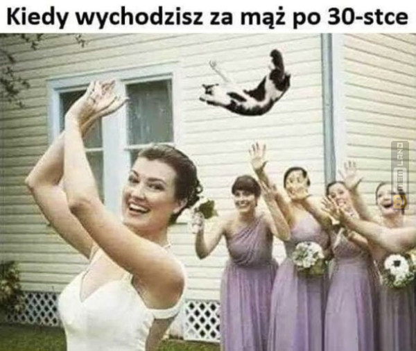 Śmieszny mem: 2507532 - MemLand