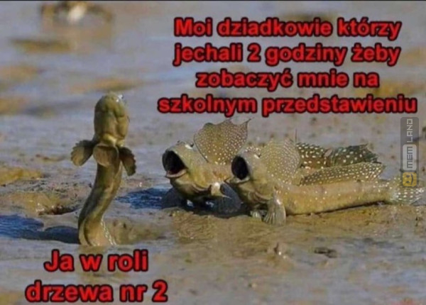 Śmieszny mem: 2510298 - MemLand