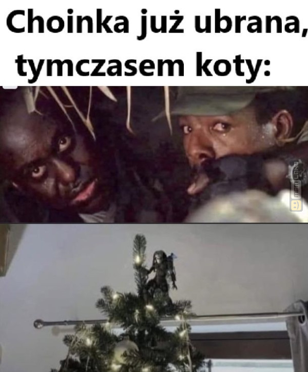 Śmieszny mem: 2511183 - MemLand