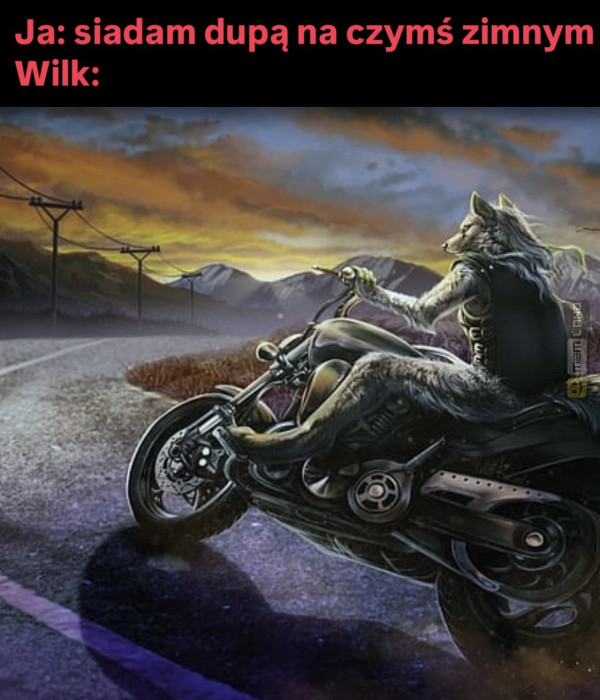 Śmieszny mem: 2512966 - MemLand