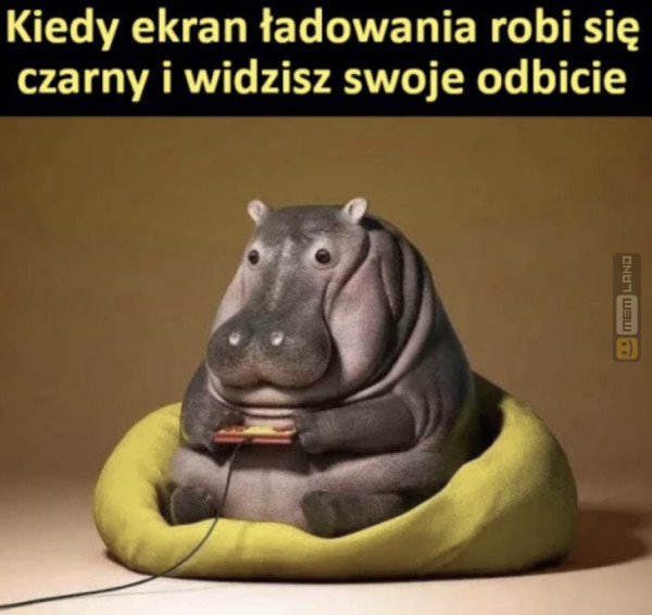 Śmieszny mem: 2513297 - MemLand