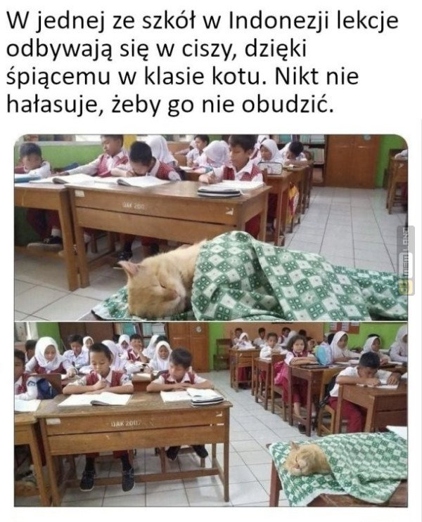 Śmieszny mem: 2520638 - MemLand