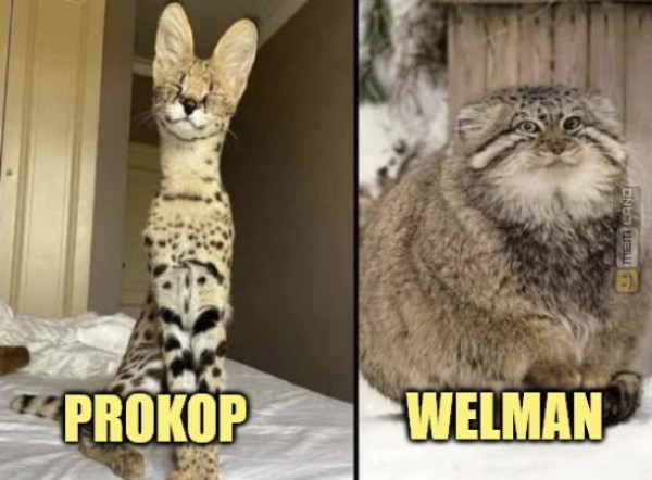 Śmieszny mem: 2521434 - MemLand