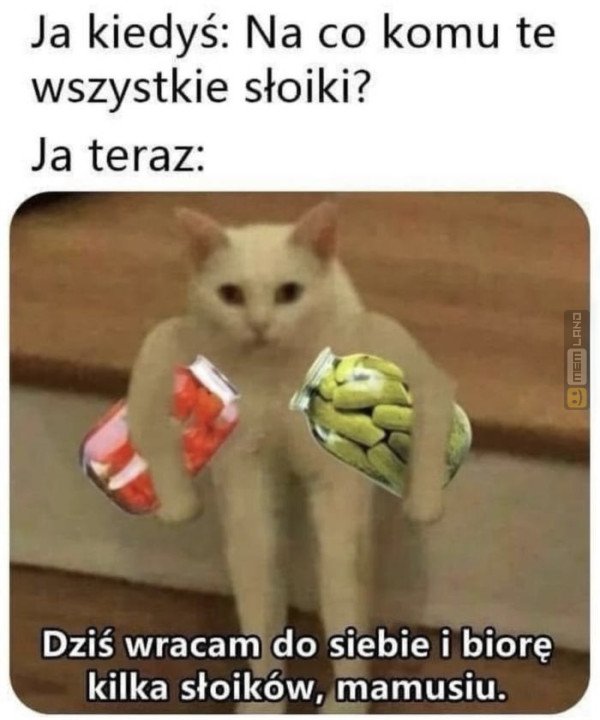 Śmieszny mem: 2527394 - MemLand