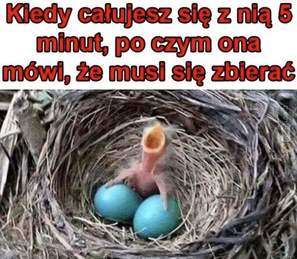 Śmieszny mem: 2529892 - MemLand