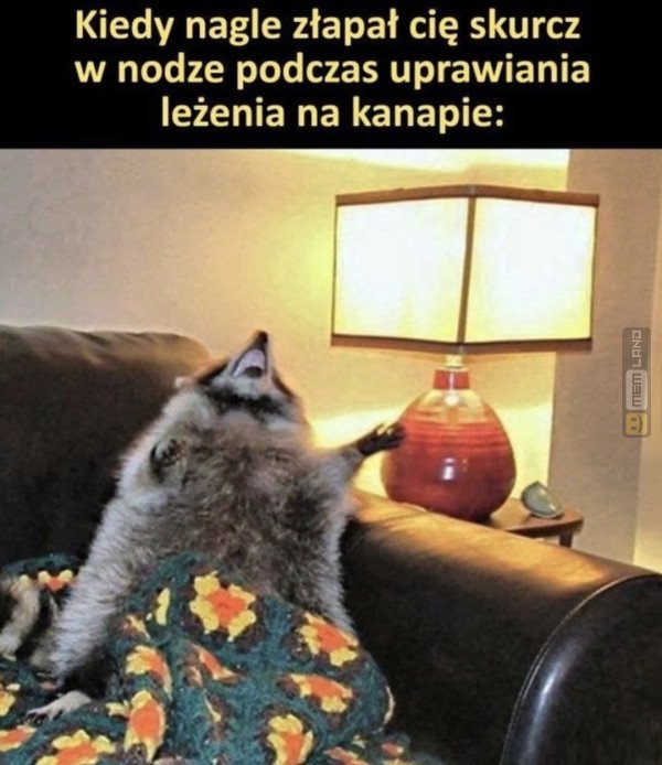 Śmieszny mem: 2545420 - MemLand