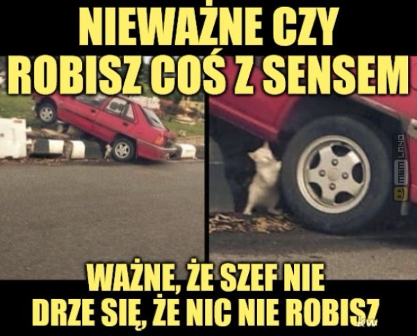 Śmieszny mem: 2545469 - MemLand