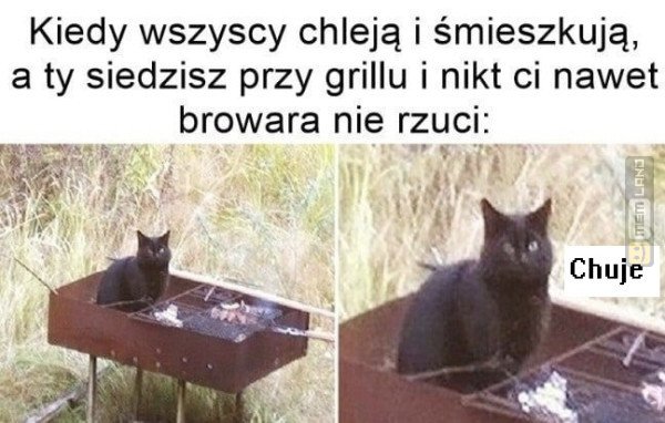 Śmieszny mem: 2552052 - MemLand