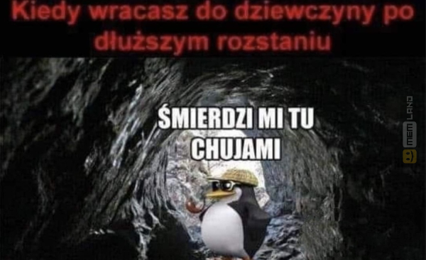 Śmieszny mem: 2554330 - MemLand