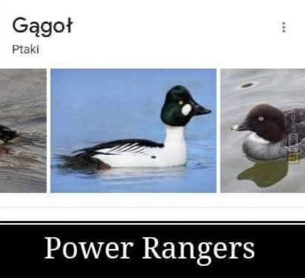 Śmieszny mem: 2561933 - MemLand