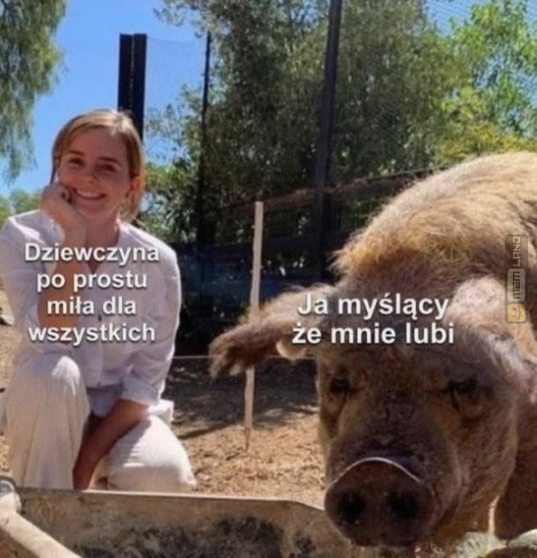 Śmieszny mem: 2562455 - MemLand