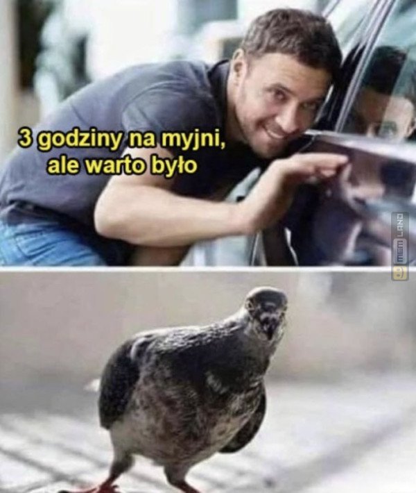 Śmieszny mem: 2575109 - MemLand