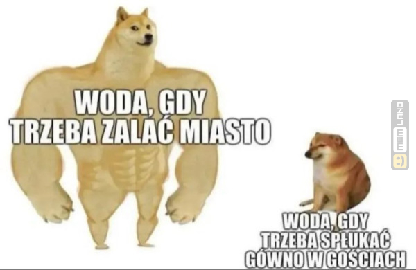 Śmieszny mem: 2575972 - MemLand