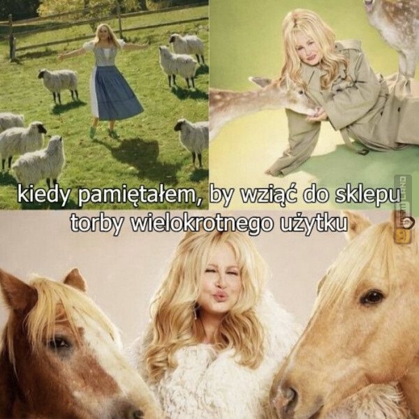 Śmieszny mem: 2586179 - MemLand