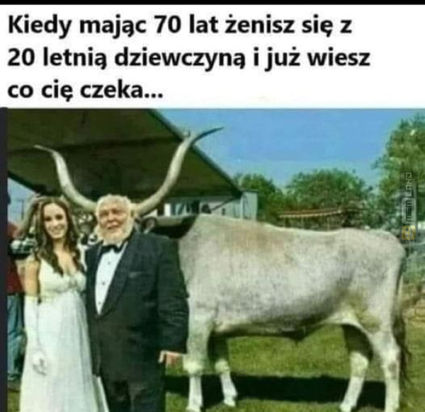 Śmieszny mem: 2588085 - MemLand
