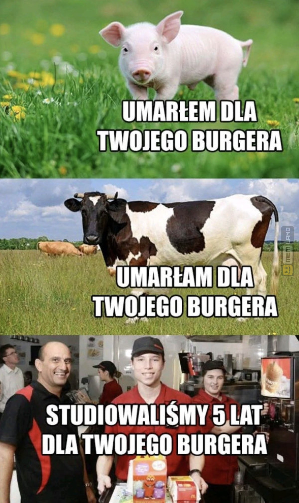 Śmieszny mem: 2590889 - MemLand