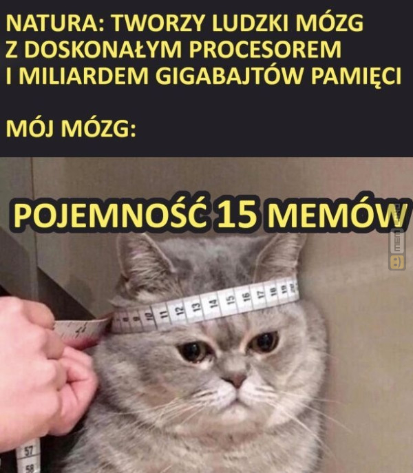 Śmieszny mem: 2591763 - MemLand